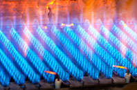 Tregona gas fired boilers